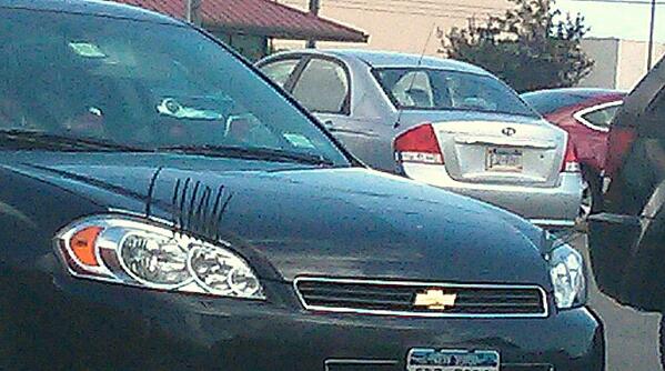 megcmak's tweet image. #carlashes #buffalo :-)