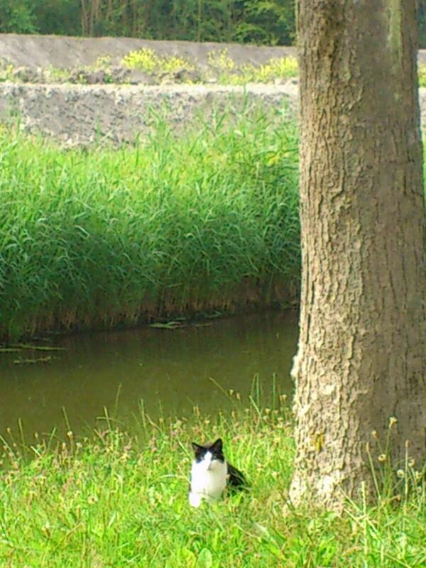 Jo Femia tweet media