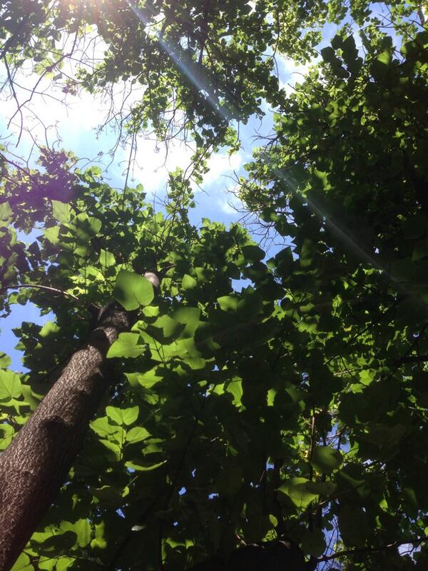 migangel's tweet photo. http://t.co/fTM0bp60ON