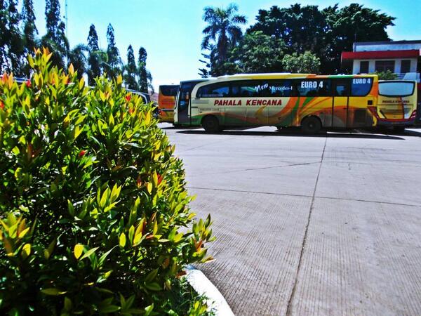 alfin_christian's tweet photo. Pahala Kencana pool Pegangsaan Dua kelapa gading @BismaniaOrg @yongky_AD @ALSHutabarat @TuahtaAldo #bismaniaorg http://t.co/CY97V6S5Vt