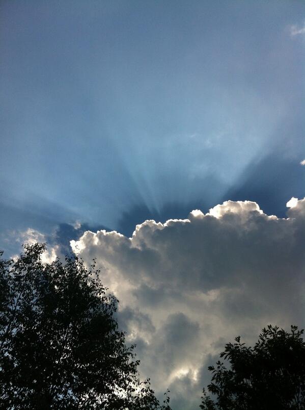 ry_kitt's tweet image. Another scorcher of a day #notlikingit