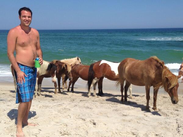 AlexWitzgall's tweet image. You know just chillin with the wild ponies on the beach #Random
