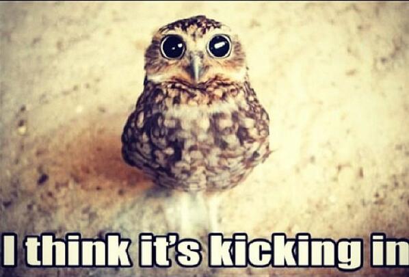 "<a href="/TheVyvanseMind/">College on Vyvanse</a>: The look when it's kicking in " @montredavis