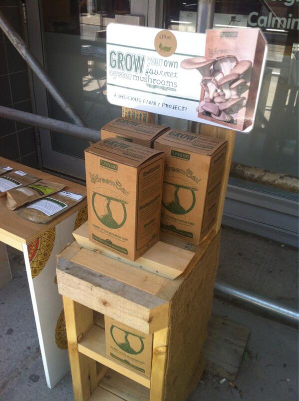 karonliu's tweet photo. Those really cool @fungaea kits that were in @TheGridTO a while back? Now at Kensington. http://t.co/S8n06wD49N