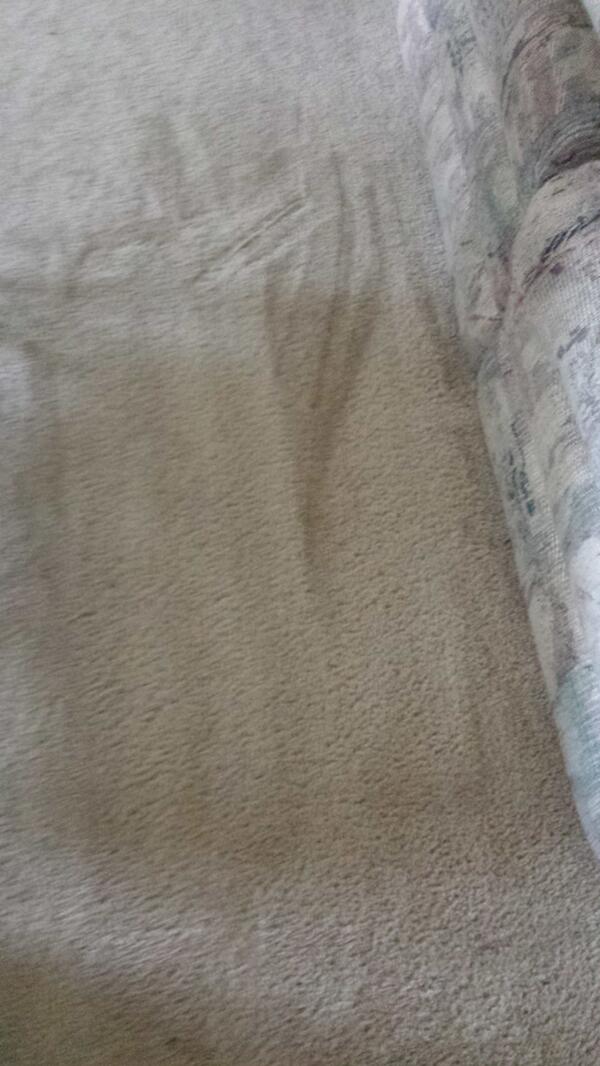 TruMeaninOfFear's tweet image. Whew cris averted. ...lets not tell @ahhhpatrick or @Pie_Dictator about this....#KoolAidProblems