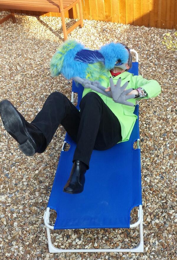Rexandbilly's tweet photo. Sunbathing ended in tears when Billy pecked me on the temple i cried "Stop it Billy" he sniggered silently http://t.co/wj8vrjSqNz