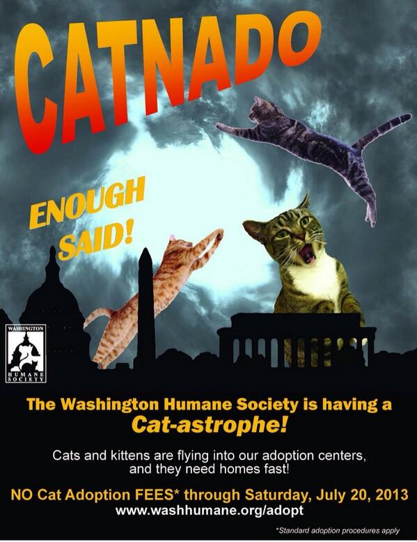dancing_markers's tweet photo. Can we get #CATNADO trending on #twitter and help #dccats? @WHS_Scott @ChristieLynD @djbays @FearNoTrieb http://t.co/mhPOzdZAxa