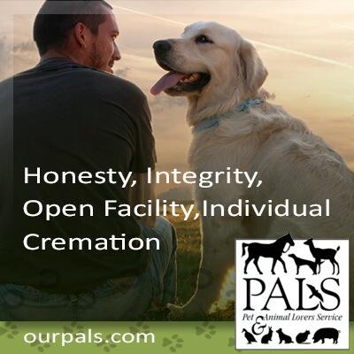 PALSINC's tweet image. Serving the Phoenix metro area for over 26 years. #pets #PALS #petcremation