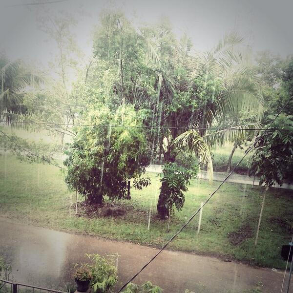 Siapa yang ga jatuh cinta coba kalo hujannya begini?