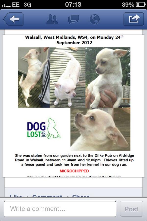 HelpFindLilly's tweet image. Can you please follow me and re tweet , stolen and still missing £1000 reward