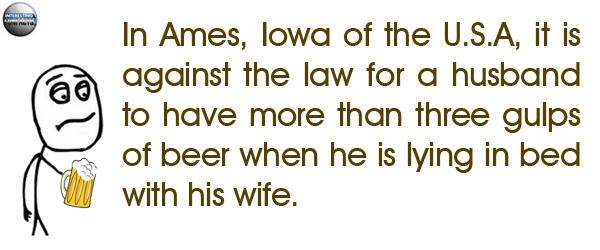 IntFunFacts tweet picture
