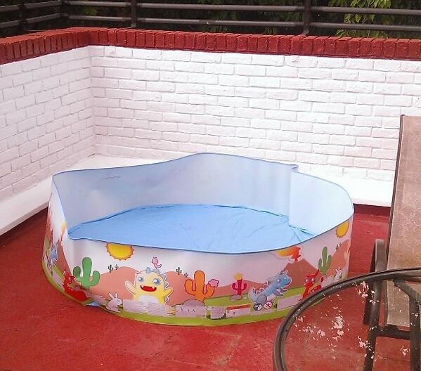 LoranSimpson's tweet photo. @ChloeBlyth69 @vickymarsh13 look what i picked up today #pool party #BBQ http://t.co/NSLzHBNKDn