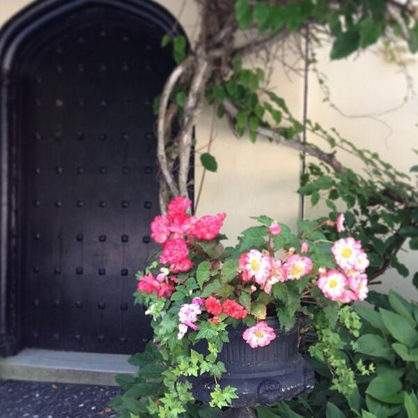Flowers are in full bloom all over the property