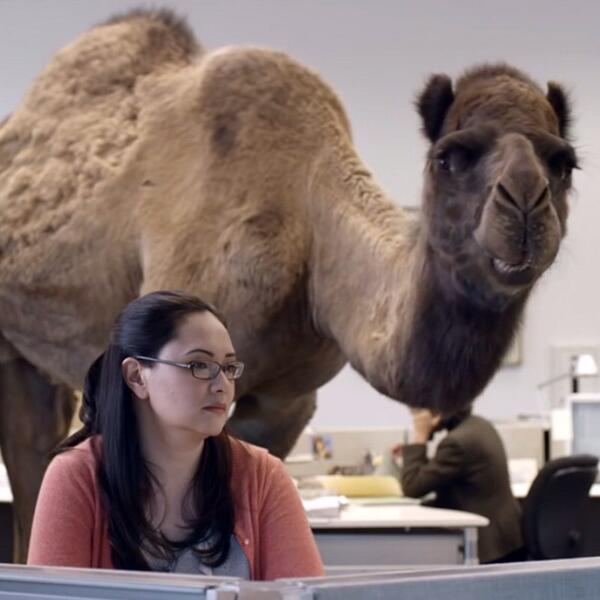 Pitcher_Swag's tweet photo. You know what today is? http://t.co/9HwEhbkU88