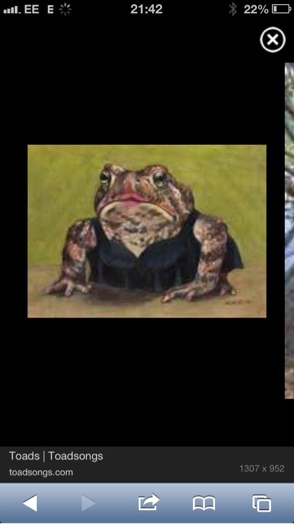 kirbymx's tweet photo. @charlottecallow me too #toadinadress xx http://t.co/JxKV4O6dUO