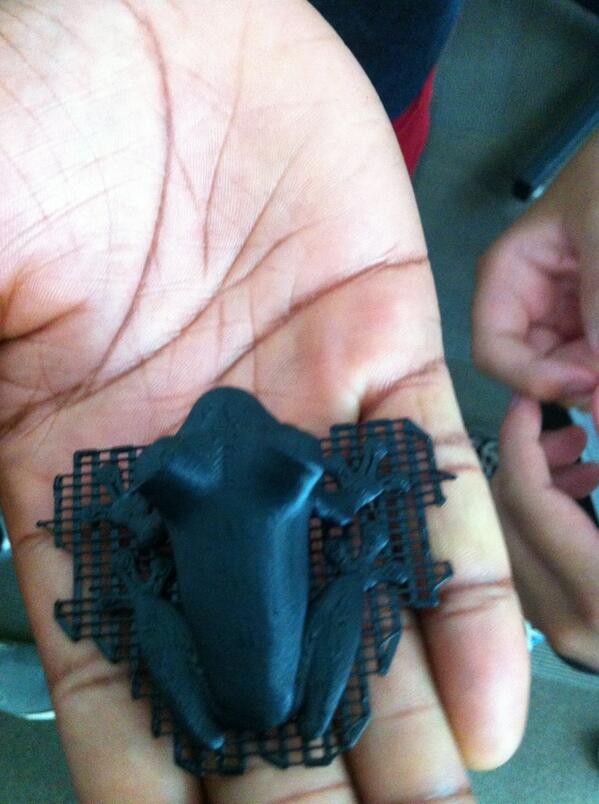 meganebannister's tweet image. Cool stuff going on today at #TechCamp2013 in Des Moines! MT @tecjourney They even printed a frog