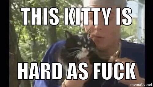Bubbles_TPB's tweet photo. All of my kitties are J-Roc http://t.co/Bmul6uHcQ4