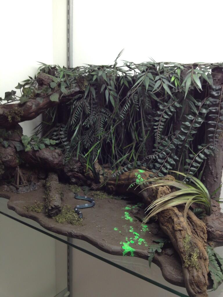 BPZuDWHCUAAa-Ya.jpg:large