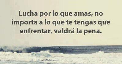 iDevoroLibros's tweet image. 