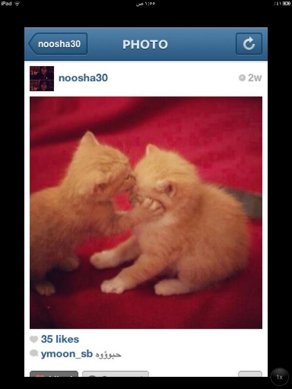 neeenfouad's tweet photo. http://t.co/2m94EEOpL8
