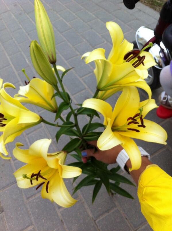 Nadya Cosmo tweet media