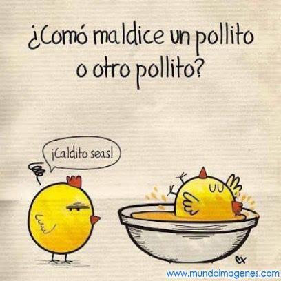 YEYNI GIL CASTRO tweet media