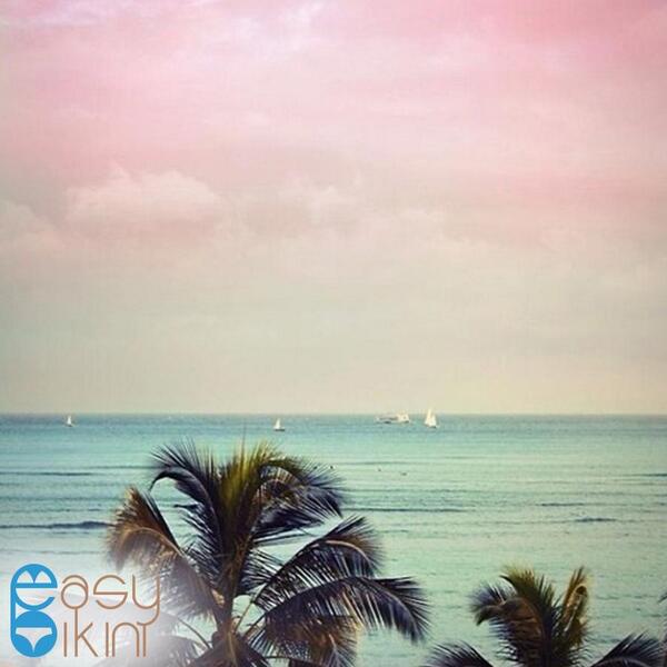 easybikini's tweet photo. palm trees are no more at the beach only...but on our clothes too!
do you like the new "palm-trees-printed-clothes" ? http://t.co/pQ7NwLs5ID