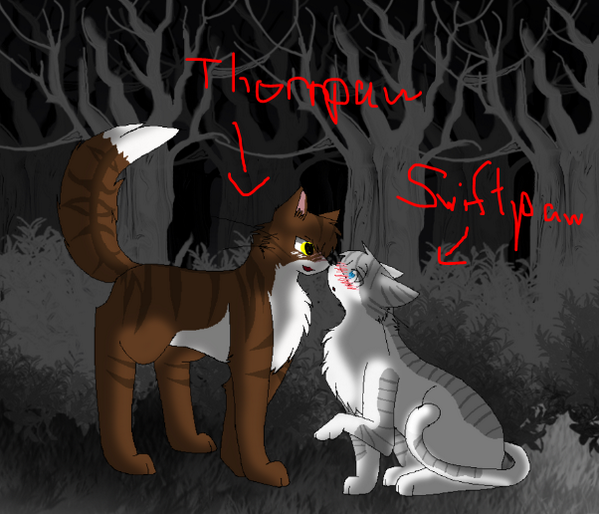 @swiftflameshade and who's this?