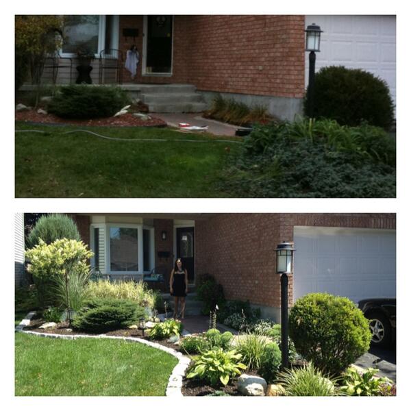 CloverTreeCr's tweet image. Check out our garden #beforeandafter