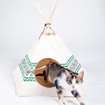 Photo by Cat Tipi (@cat_tipi)
