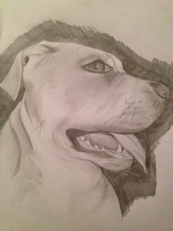 Another sketsch #art #dog <a href="/Kunstpers/">KunstPers</a>