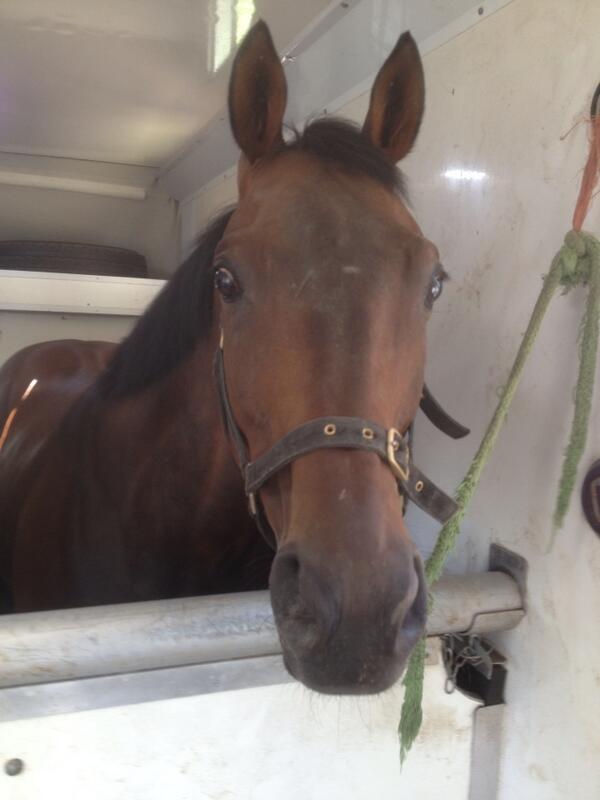 justinlb86's tweet photo. On the way to Brighton with good old @Stonecrabst http://t.co/ya91rANTHP
