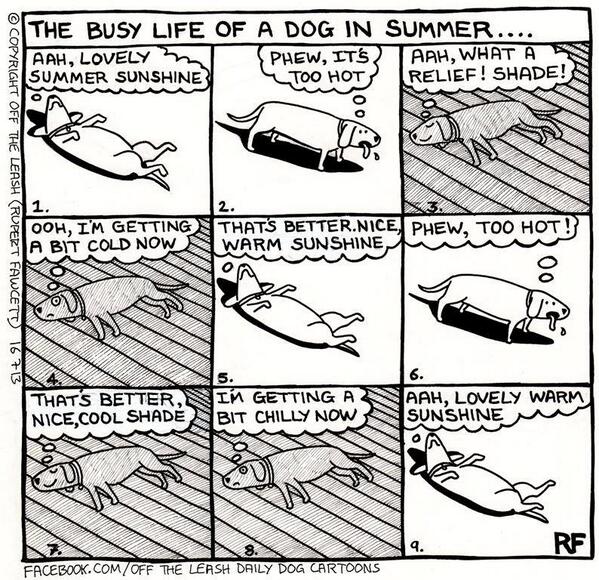 Triple_Animal's tweet photo. Het drukke leven van een hond in de zomer...herkenbaar :-) http://t.co/yq6xTZ6yVD