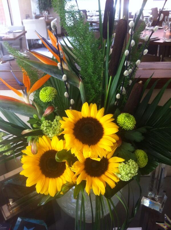 Cielo_Italian's tweet photo. Thank you @ethosflower for our gorgeous summery flowers today 👍🌻👍🌻👍🌻 http://t.co/57apqJCk0t