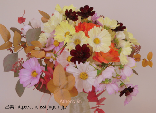 weddingloadjp's tweet photo. ♡秋におすすめのブーケ♡

『コスモス』

特徴
秋の野原に咲く可憐な花
はかない風情の美しさが優しい印象を与える

時期：9月～11月
花言葉：乙女の純潔 

https://t.co/zdTClIArap