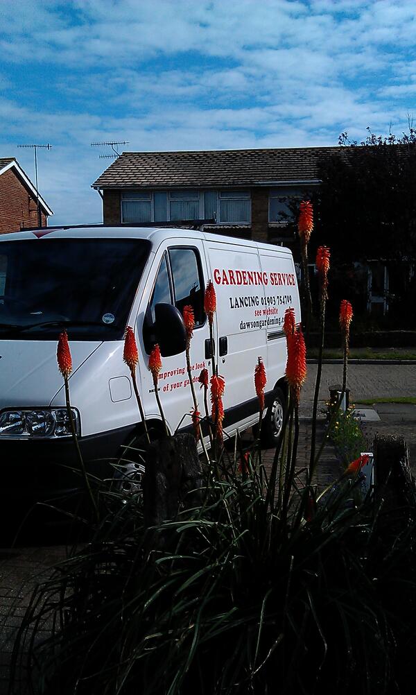 dawsongardening's tweet photo. http://t.co/CJc5iOrCL5