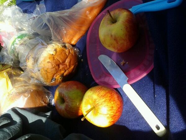 ReekersE's tweet photo. Picknicken in de #prinsentuin. #zomerinfriesland. #lovelife http://t.co/kxxb4W7AOy