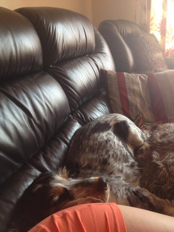 katieecocking's tweet photo. Definitely can't be comfy http://t.co/gOWs9Nhef4