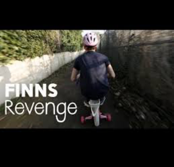 FinnsHair's tweet photo. Remember when @finnharries put me in a helmet? I sure do. http://t.co/XwZ4vhpcZM