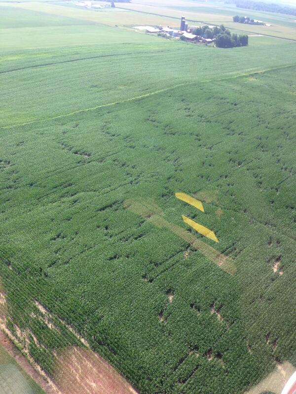 JWebsterAg's tweet image. Flew over this corn field near Wabash, IN this morning.  Very strange.......