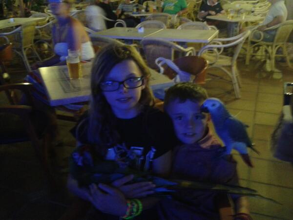 DirectionerEG's tweet image. Arnt the parots cute