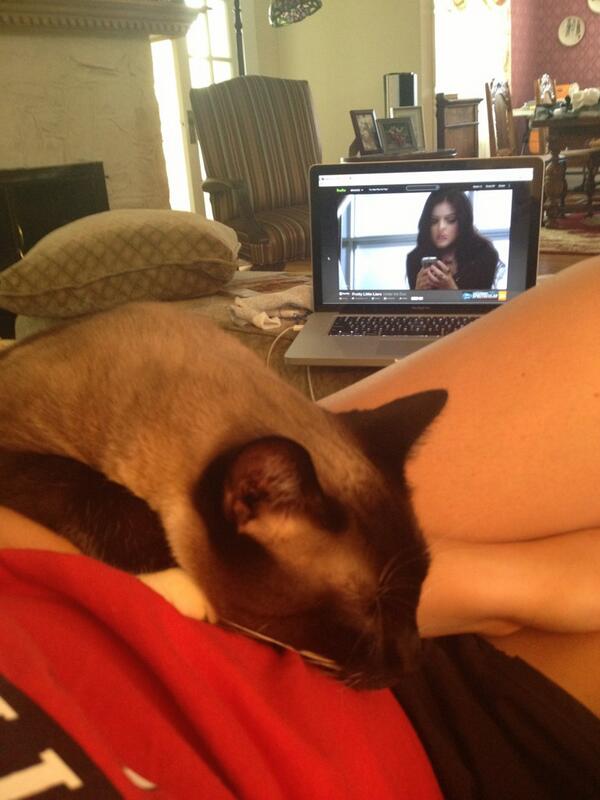 CuteGDIProblems's tweet image. Kitty is literally on top of me. I can&apos;t move.