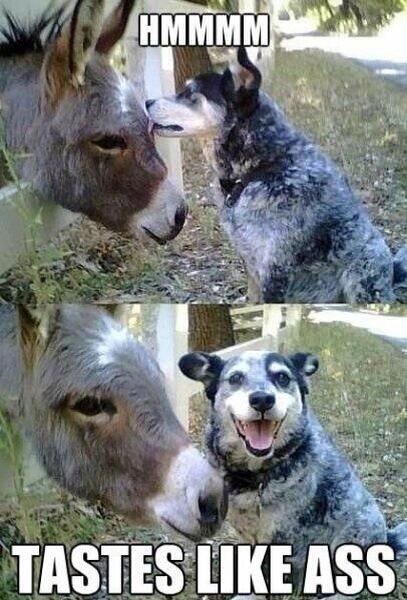 HMMM....... 😂 love this!!