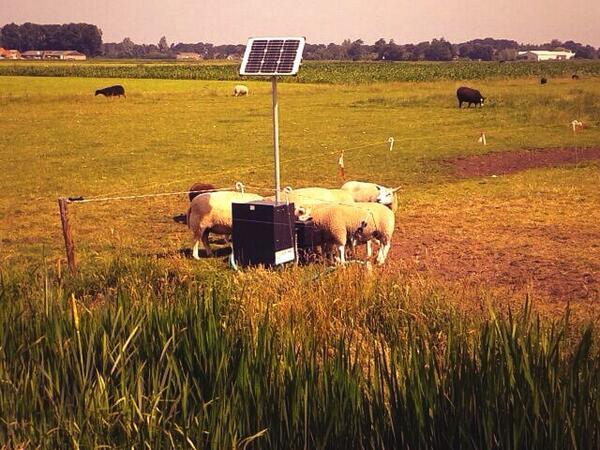 poortmansolar tweet picture