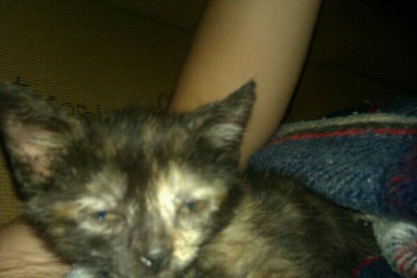 carlilesli's tweet photo. Hola toi fumauu jajajajja @MiriamGil97 http://t.co/OHZT4tRcAO