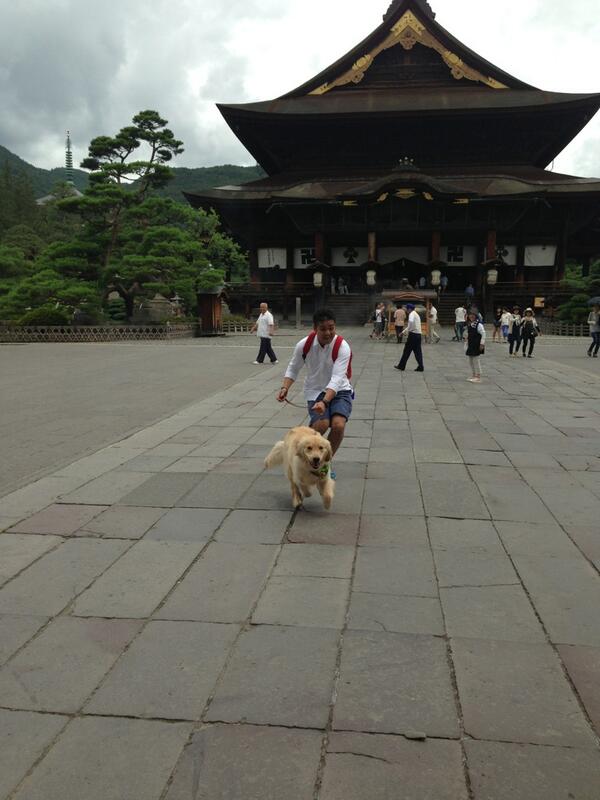 do_butsukun_tx's tweet photo. けんたくん今日も元気いっぱいです！ http://t.co/Hv3nZ86sIu
