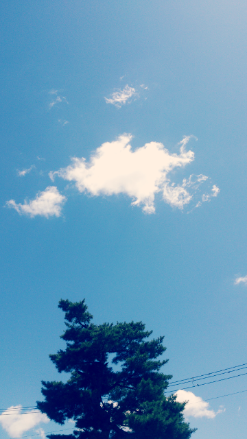 kinmonkosyu's tweet photo. 今日は久しぶりの快晴です(//ω//)
やっぱり暑い！そろそろ梅雨もあけるかな？ http://t.co/jrAcCMHX49