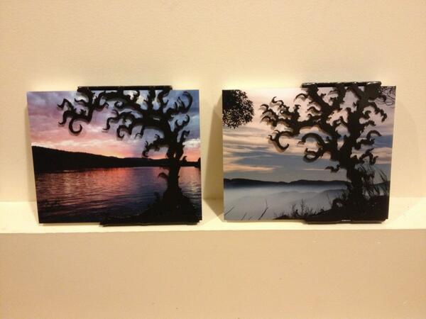 New Tree frames with printed canvases and local Shawnigan lake scenery!