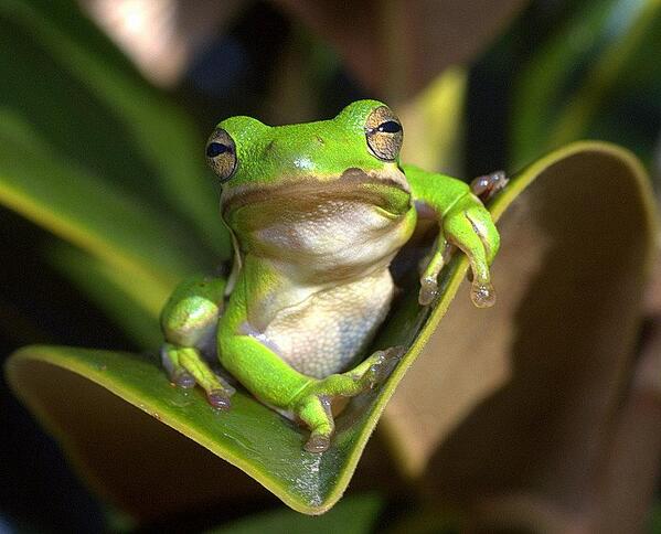 めちゃくちゃ眠たい