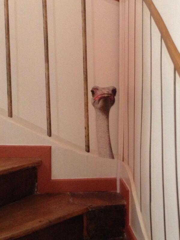 Merci les filles j'espère que vous me manquez <a href="/macablanco/">Macarena Blanco</a> <a href="/anafranciscab/">ana francisca</a>